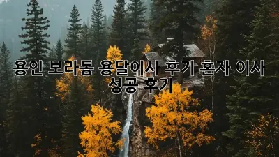 용인 보라동 용달이사 후기: 혼자 이사 성공 후기!